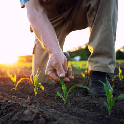 Mission d’information et d’évaluation relative à la politique agricole et alimentaire régionale